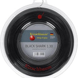 Rollo Kirschbaum Black Shark